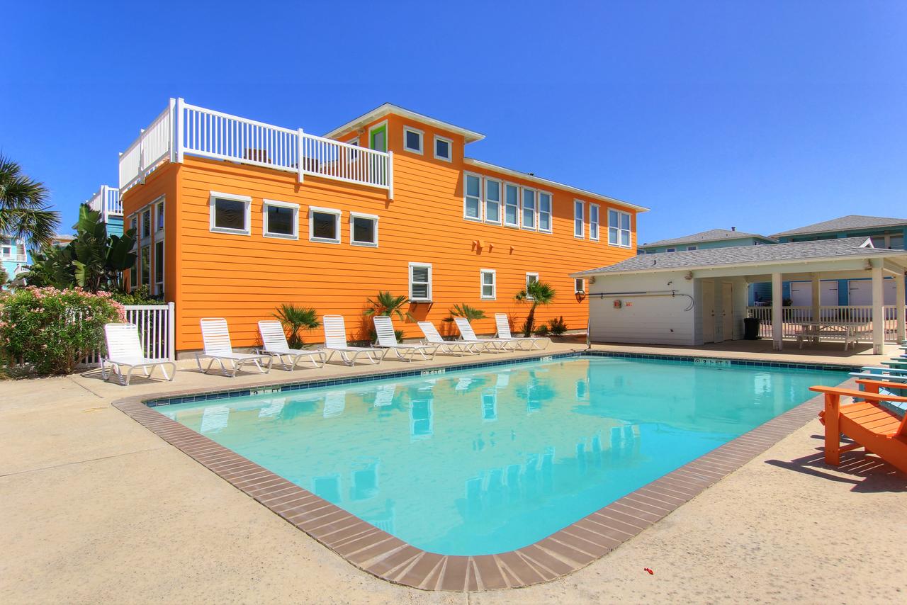 With A Splash Vw60 Home - thumb 5