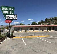 White Pine Motel - Accommodation Alabama