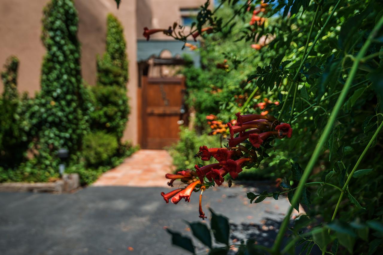 2 Bedroom - 10 Min. Walk To Plaza - Alegre - thumb 21