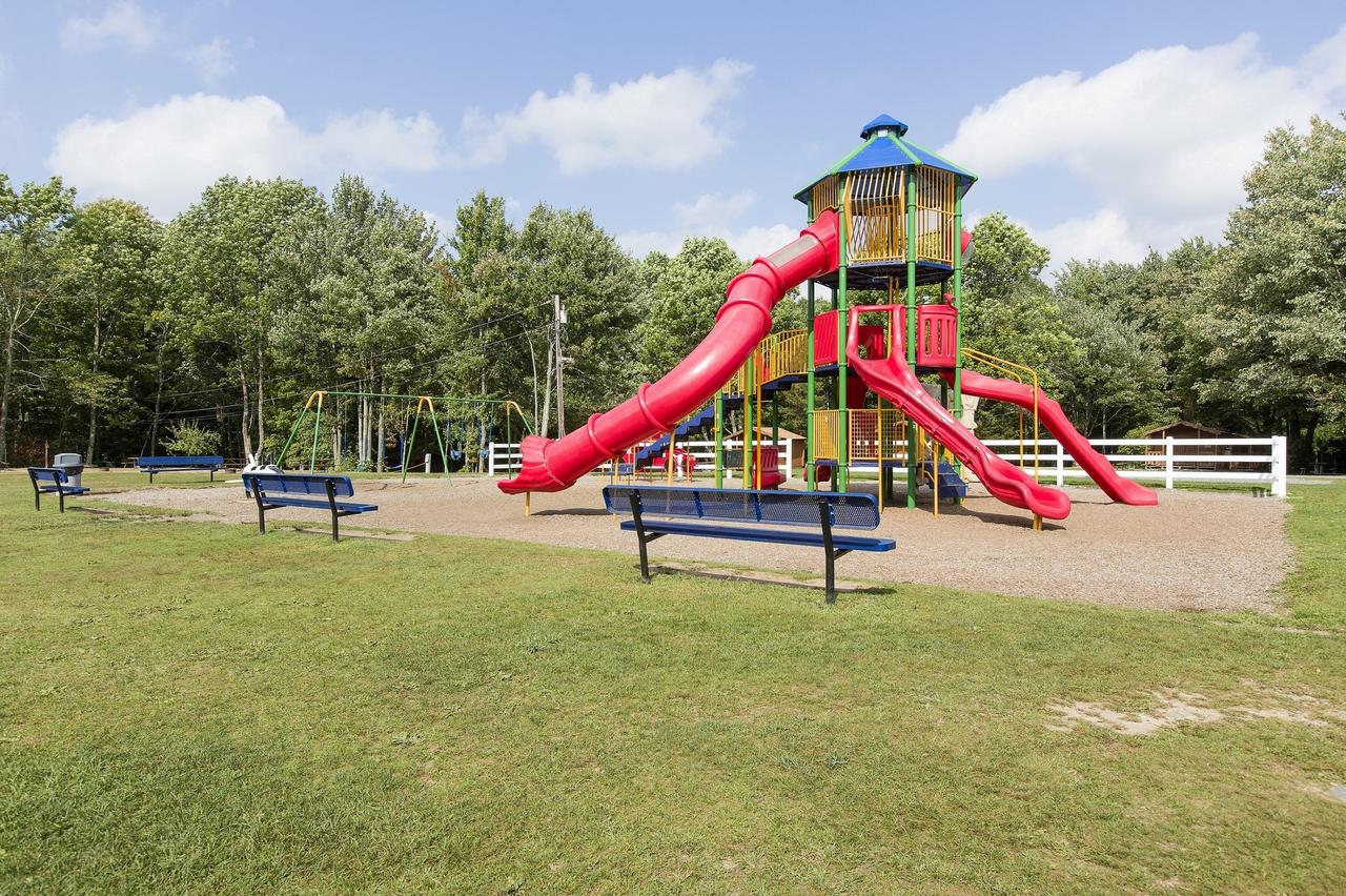 Jellystone Parkâ„¢ At Birchwood Acres Campground - thumb 30