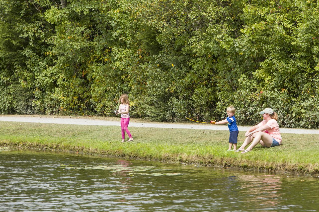 Jellystone Parkâ„¢ At Birchwood Acres Campground - thumb 37