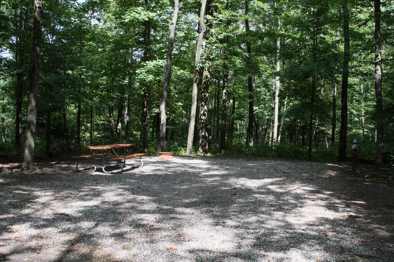 Jellystone Parkâ„¢ At Birchwood Acres Campground - thumb 17