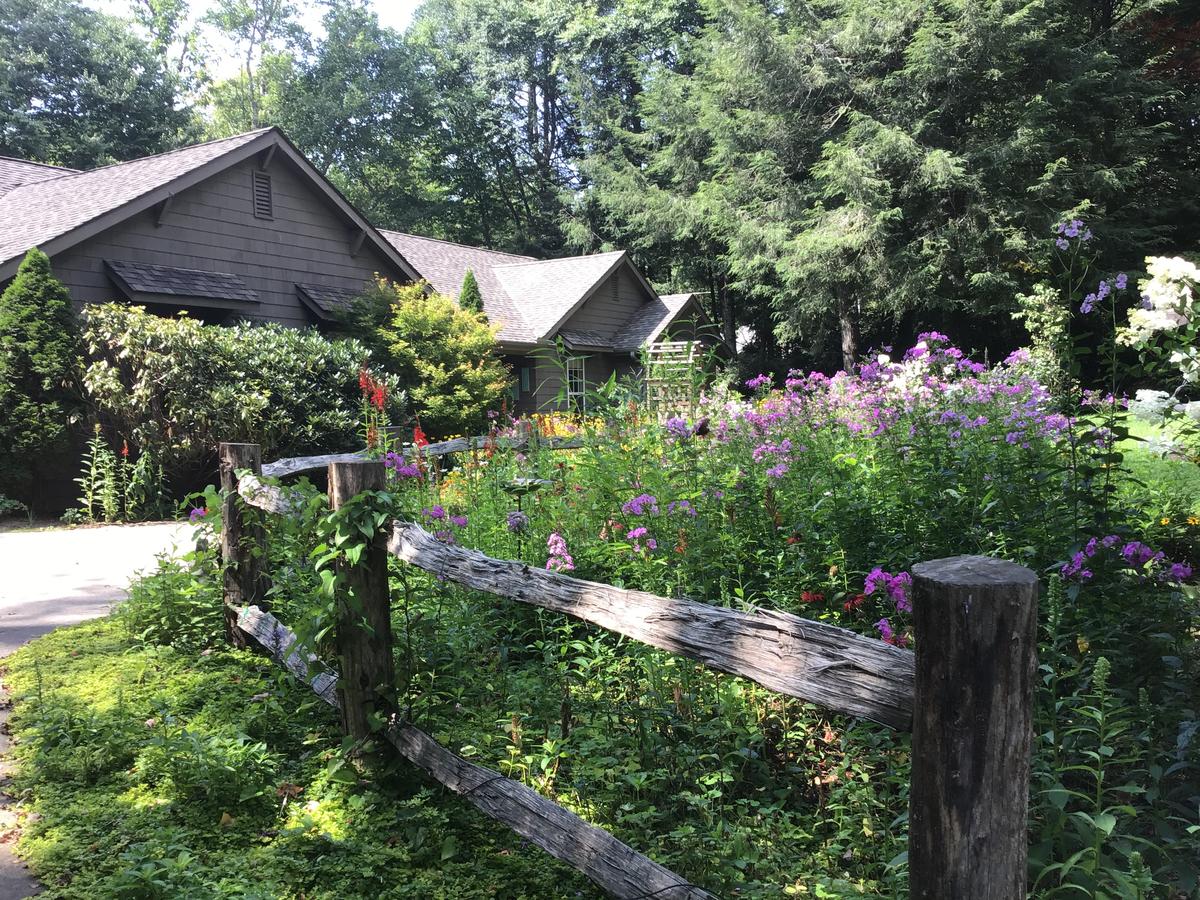 Butterfly Bliss - thumb 14