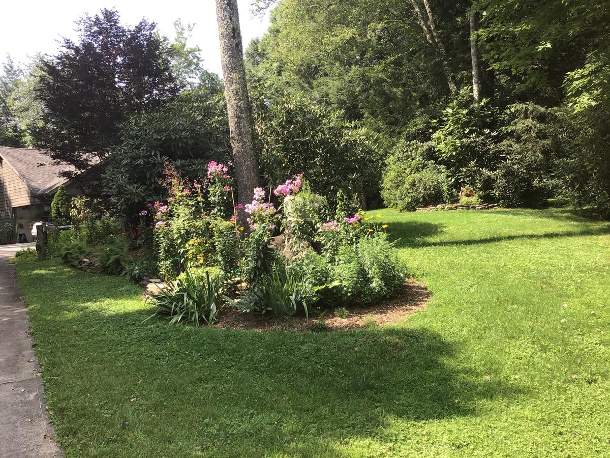 Butterfly Bliss - thumb 21