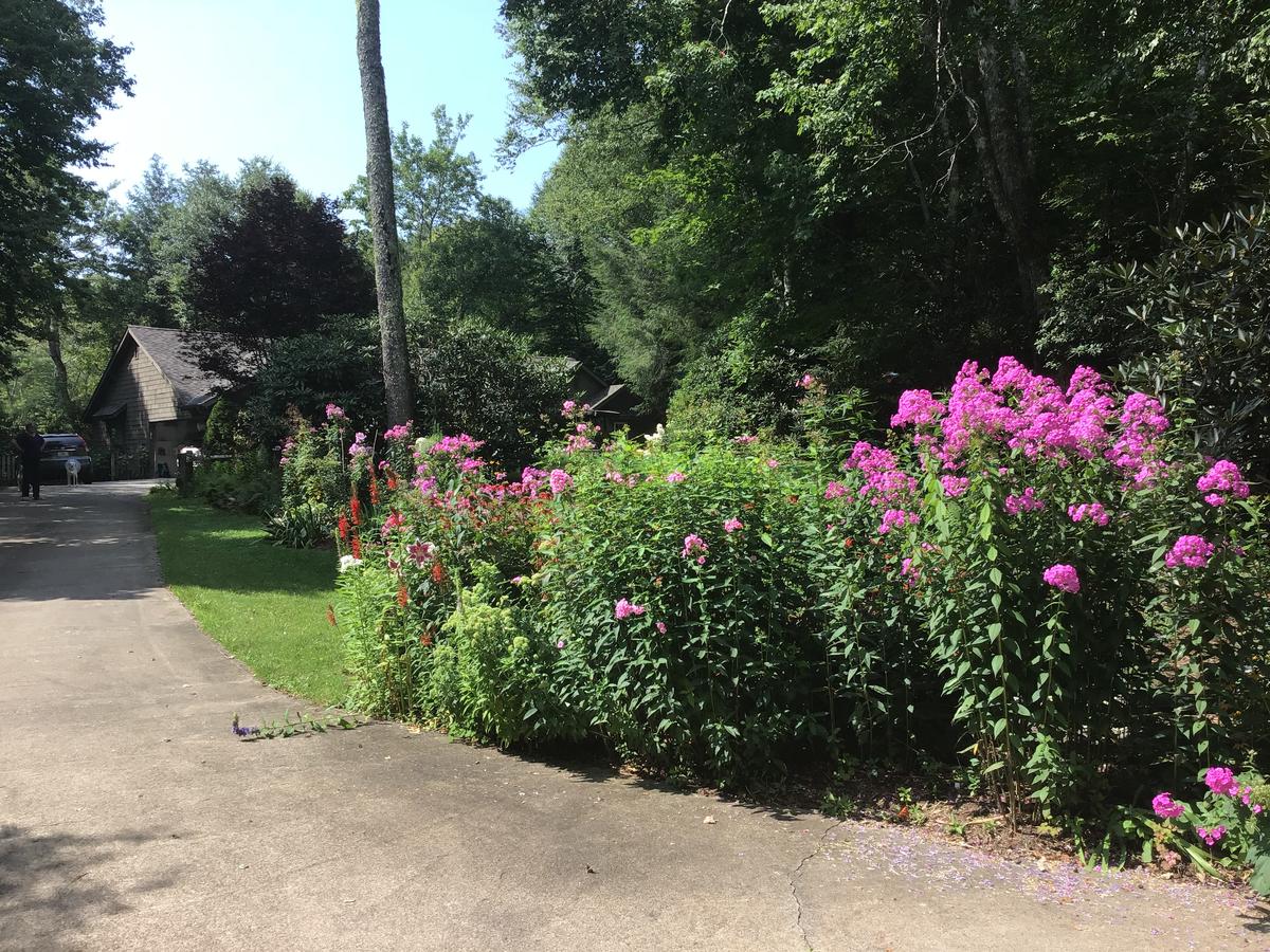 Butterfly Bliss - thumb 25