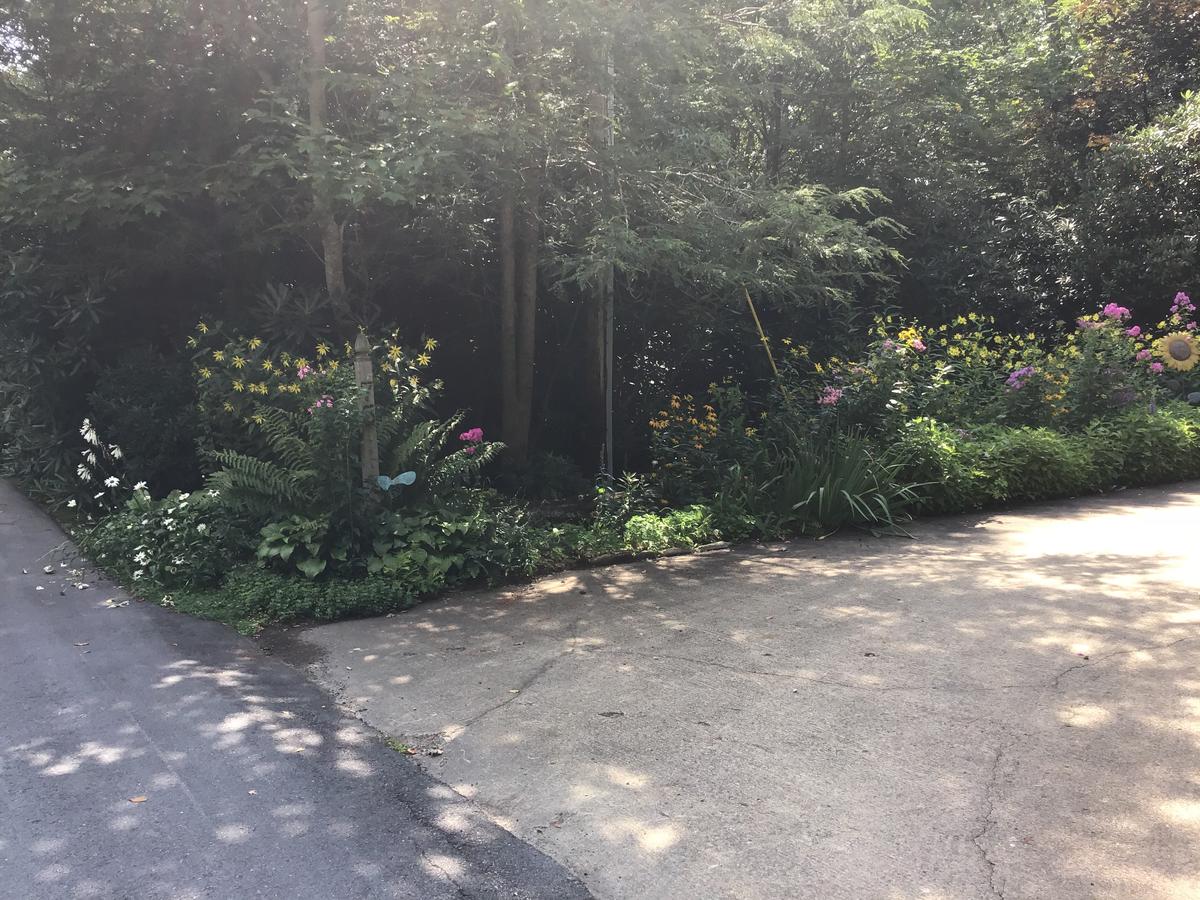 Butterfly Bliss - thumb 22