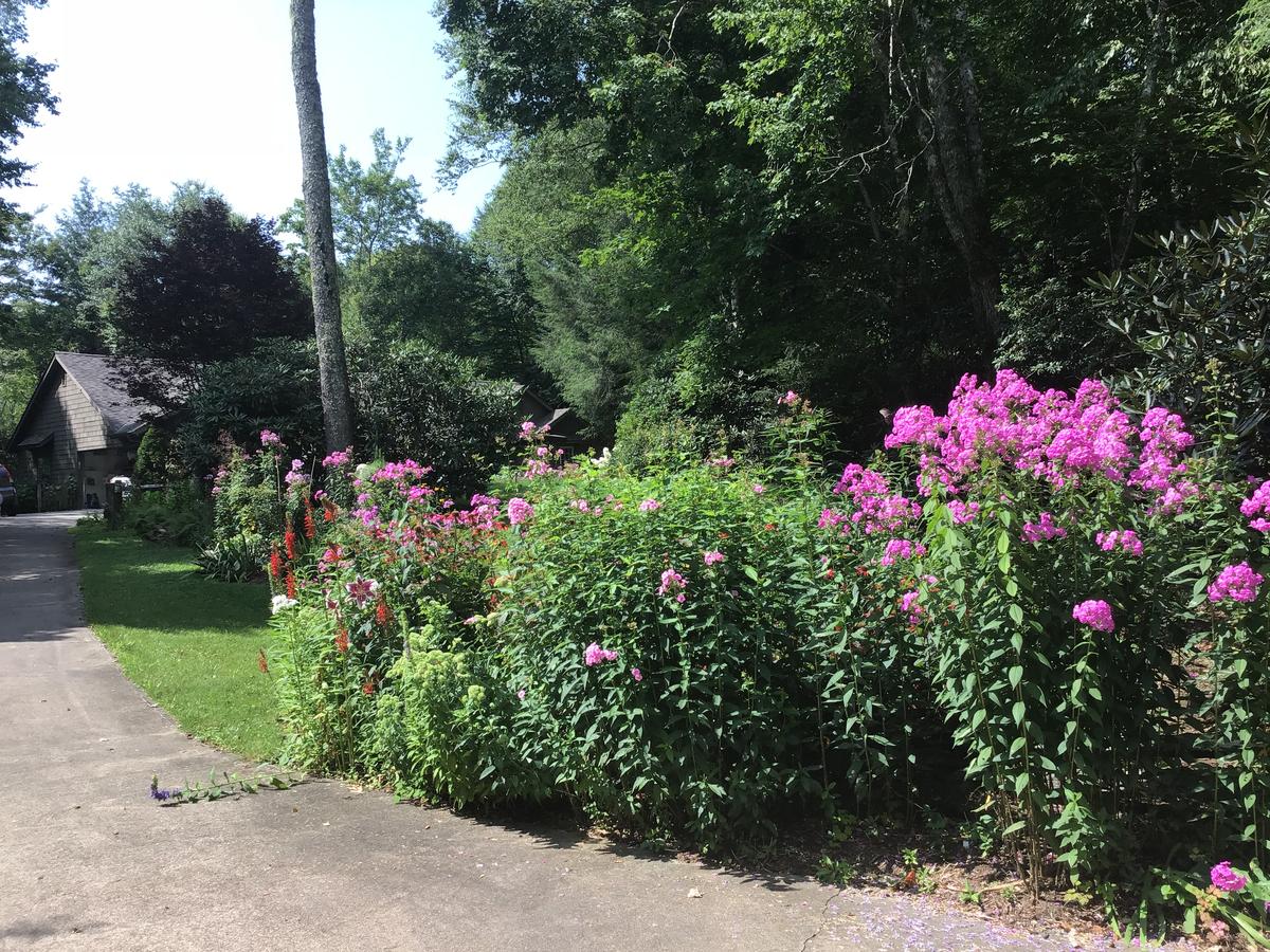 Butterfly Bliss - thumb 17