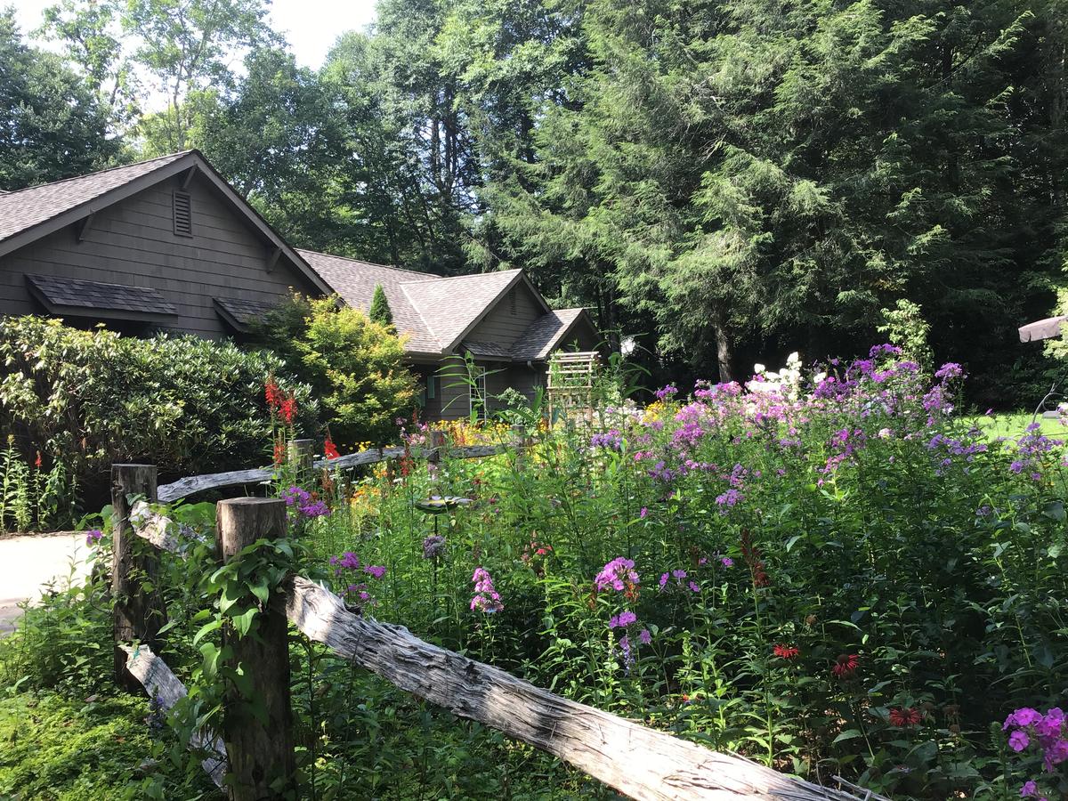 Butterfly Bliss - thumb 23