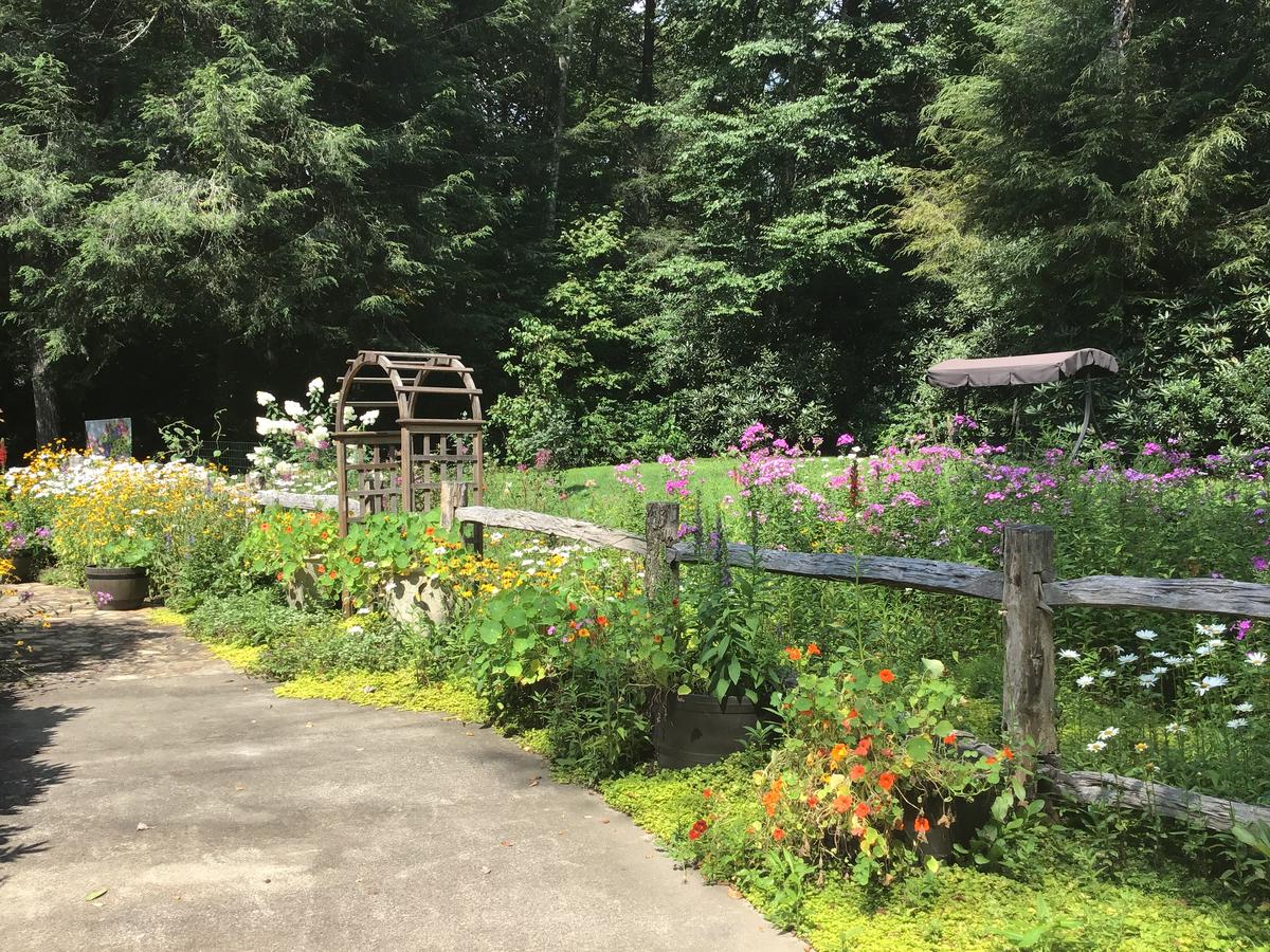 Butterfly Bliss - thumb 16