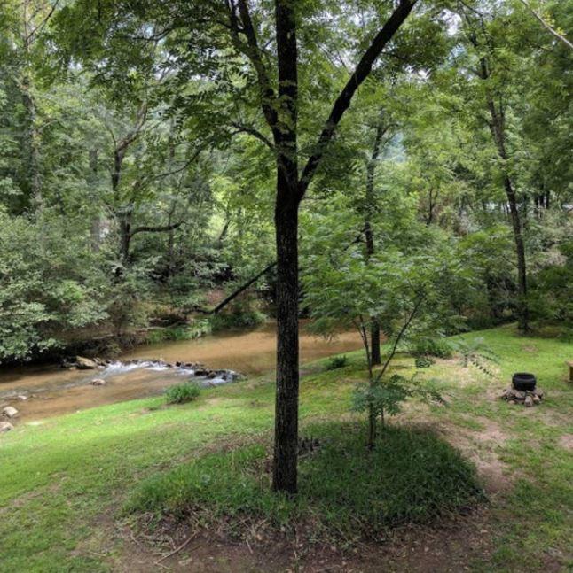Reedy Patch Cabin - thumb 9
