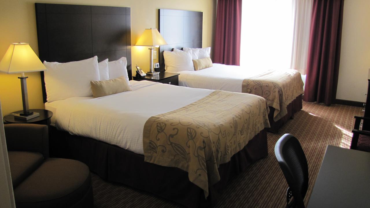 Wingate By Wyndham State Arena Raleigh/Cary Hotel - thumb 13