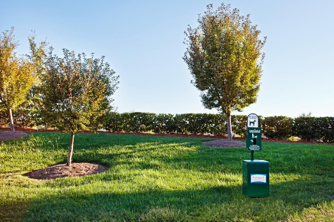 Staybridge Suites - Charlotte Ballantyne - thumb 4