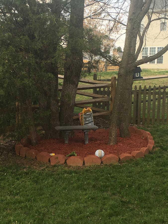 Patty's Bed & Breakfast - thumb 17