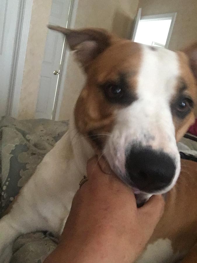 Patty's Bed & Breakfast - thumb 7