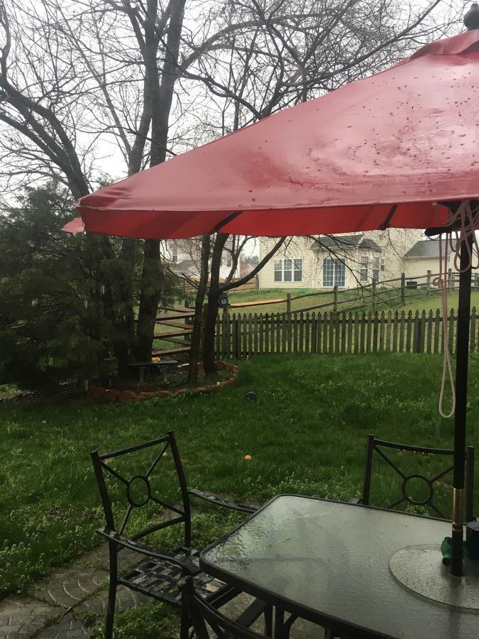 Patty's Bed & Breakfast - thumb 12