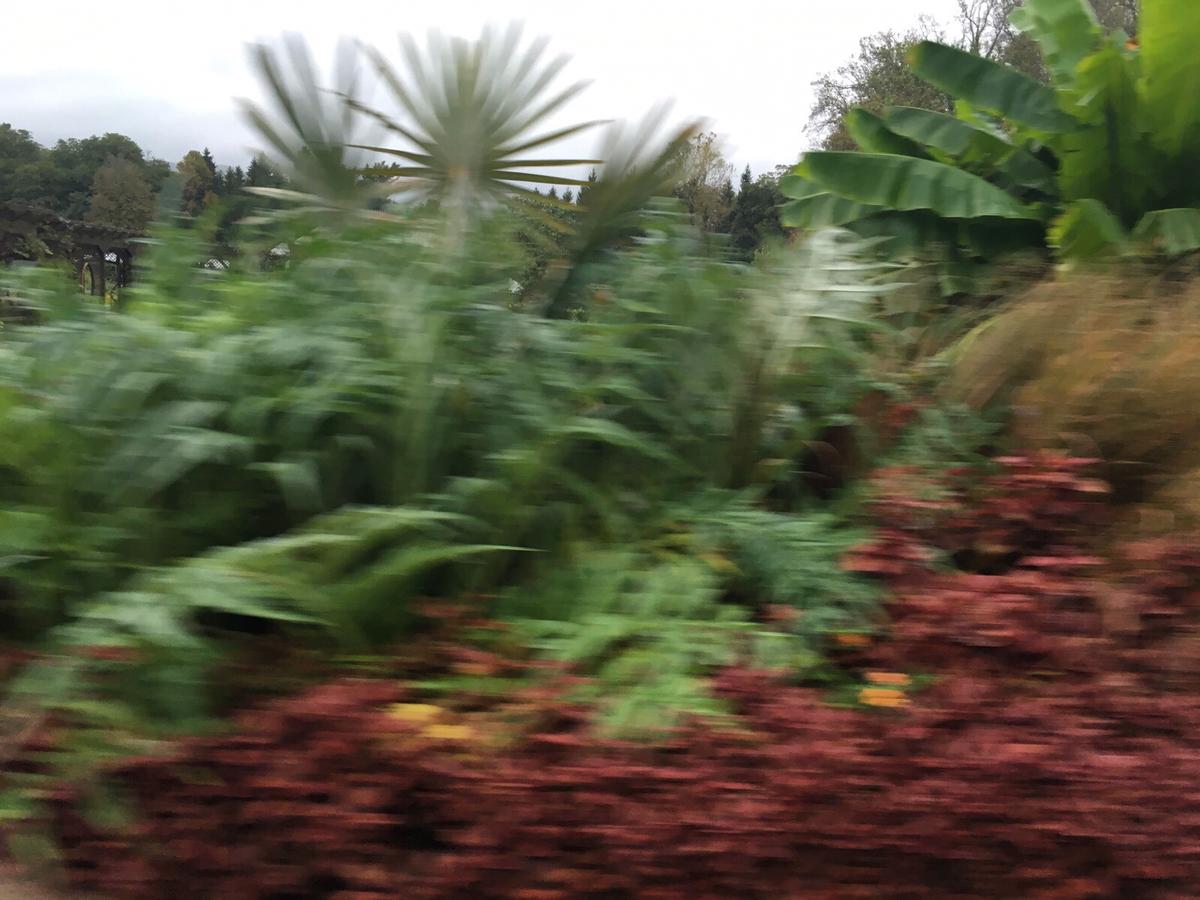 Patty's Bed & Breakfast - thumb 6