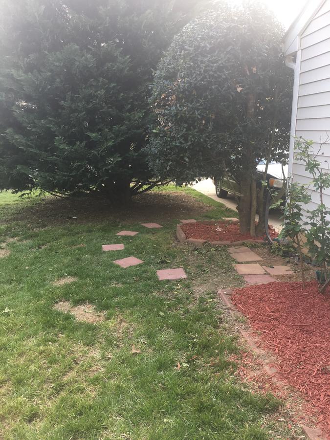 Patty's Bed & Breakfast - thumb 15