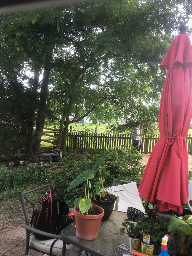 Patty's Bed & Breakfast - thumb 21