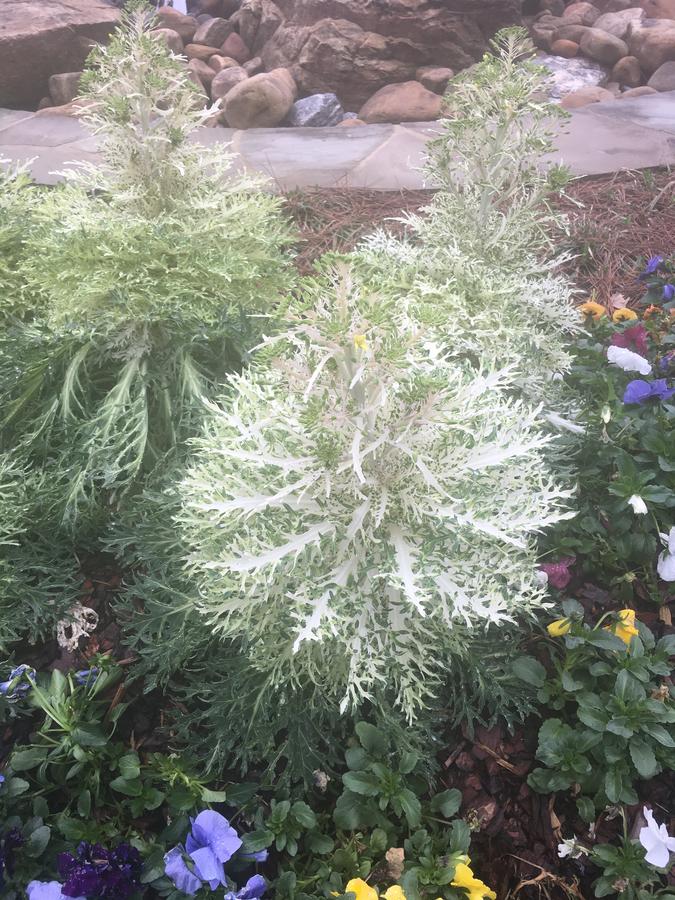 Patty's Bed & Breakfast - thumb 9