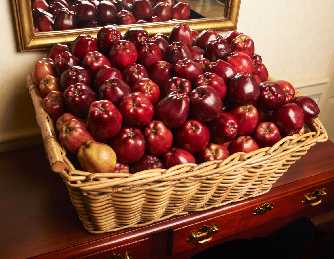 Nittany Lion Inn - thumb 25