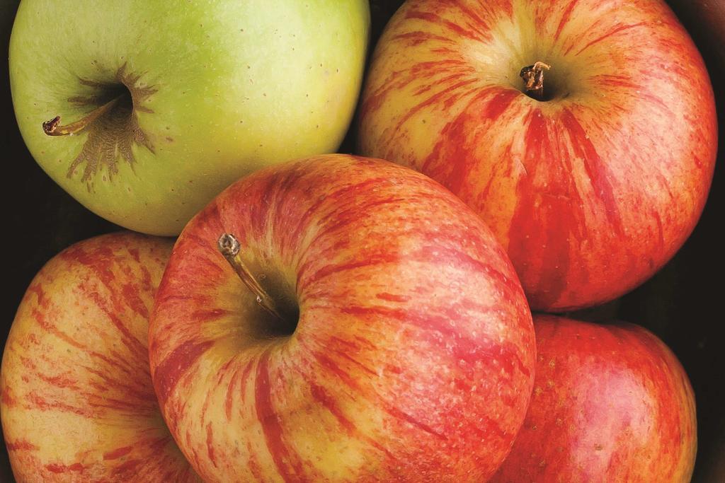 Hampton Inn (not A Hilton Affiliate) - thumb 9