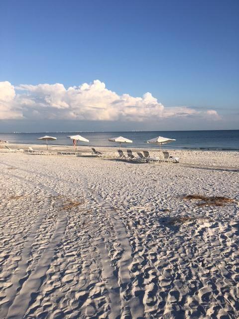 A Step Away From The Beach - thumb 27