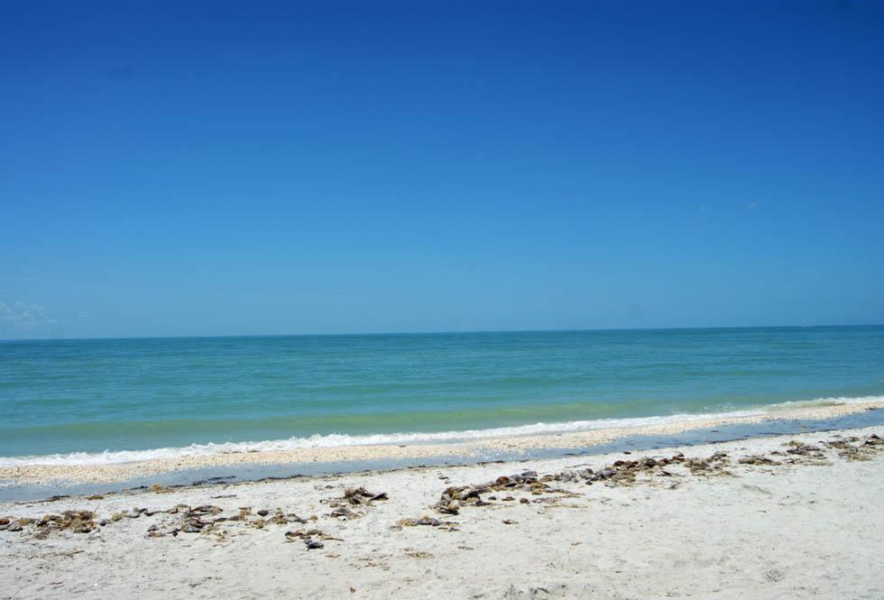 A Step Away From The Beach - thumb 26