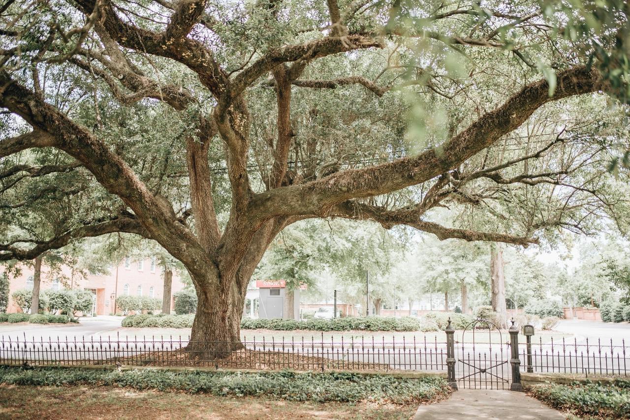 1912 Bed And Breakfast - thumb 16