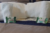 Booking Clover Accommodation Alabama