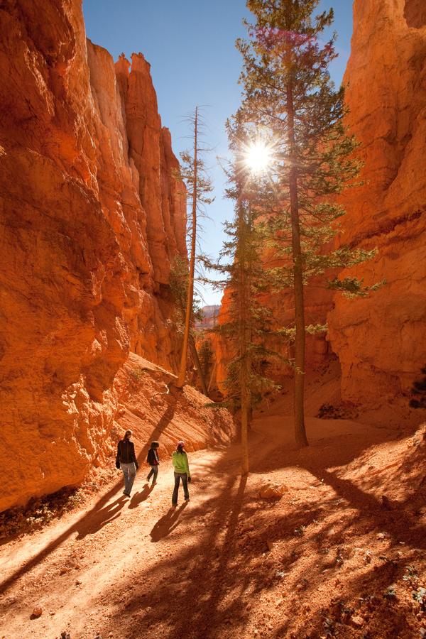 Park Inn By Radisson Salt Lake City -Midvale - thumb 36