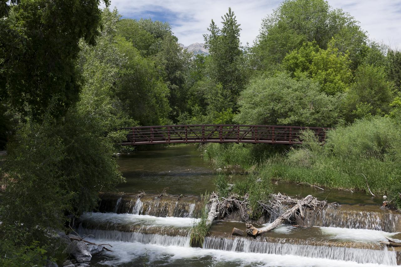 Residence Inn By Marriott Provo - thumb 25