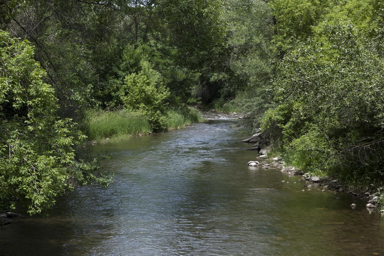 Residence Inn By Marriott Provo - thumb 24
