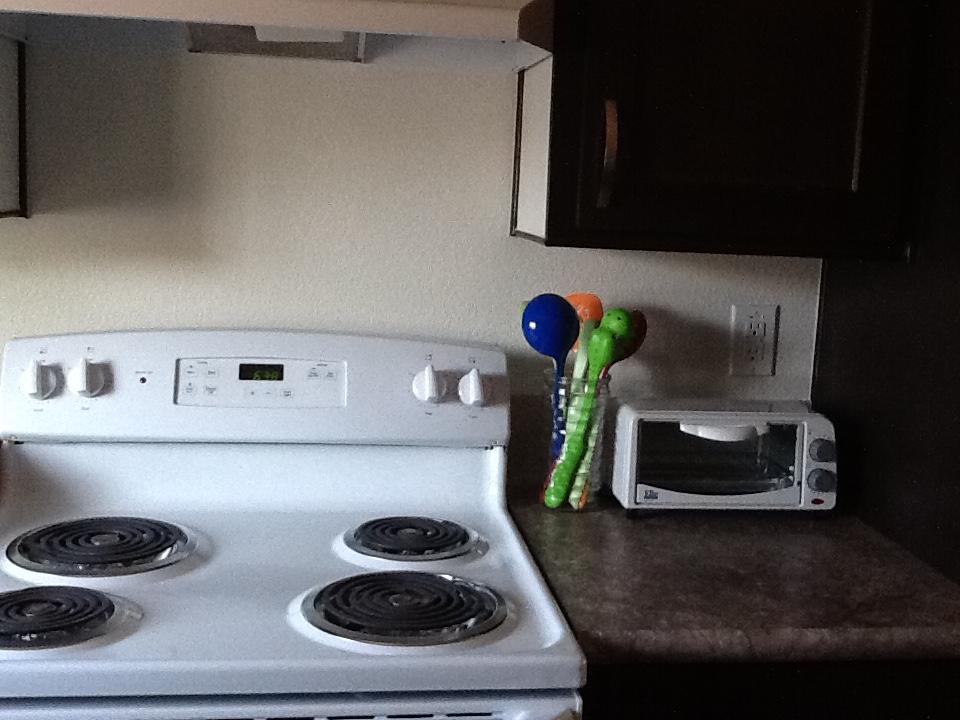 Starry Nights - thumb 17