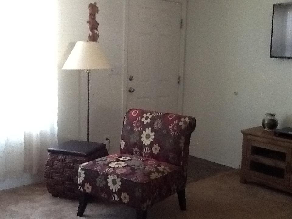 Starry Nights - thumb 15