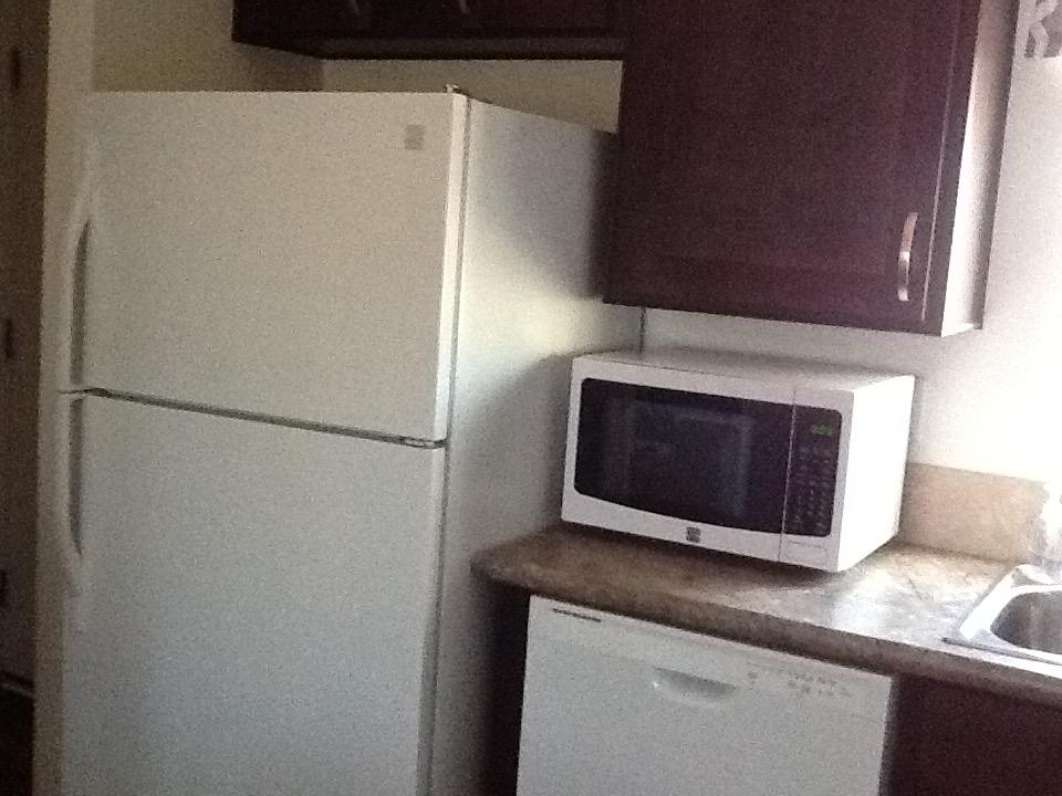 Starry Nights - thumb 18