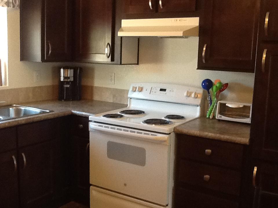 Starry Nights - thumb 4