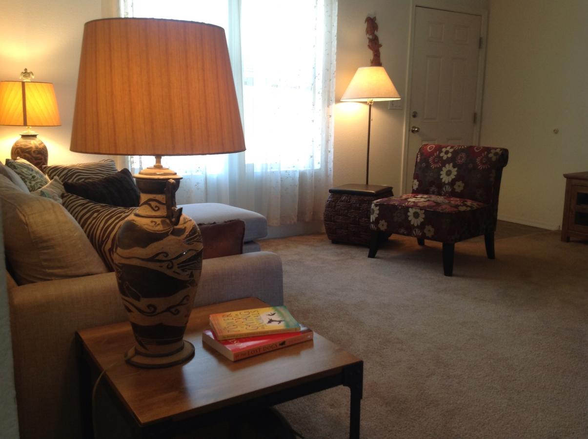 Starry Nights - thumb 10