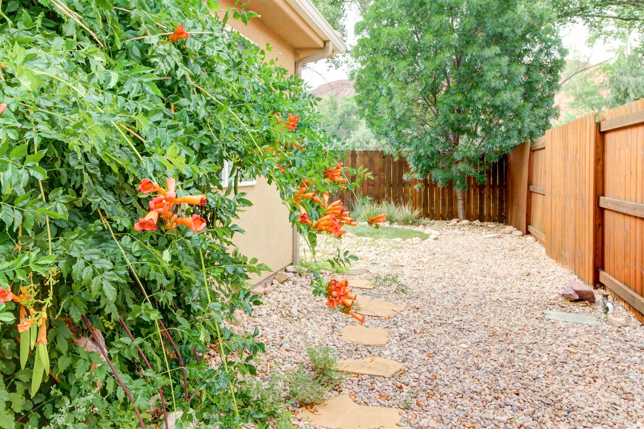 Cottonwoods 455 - thumb 10