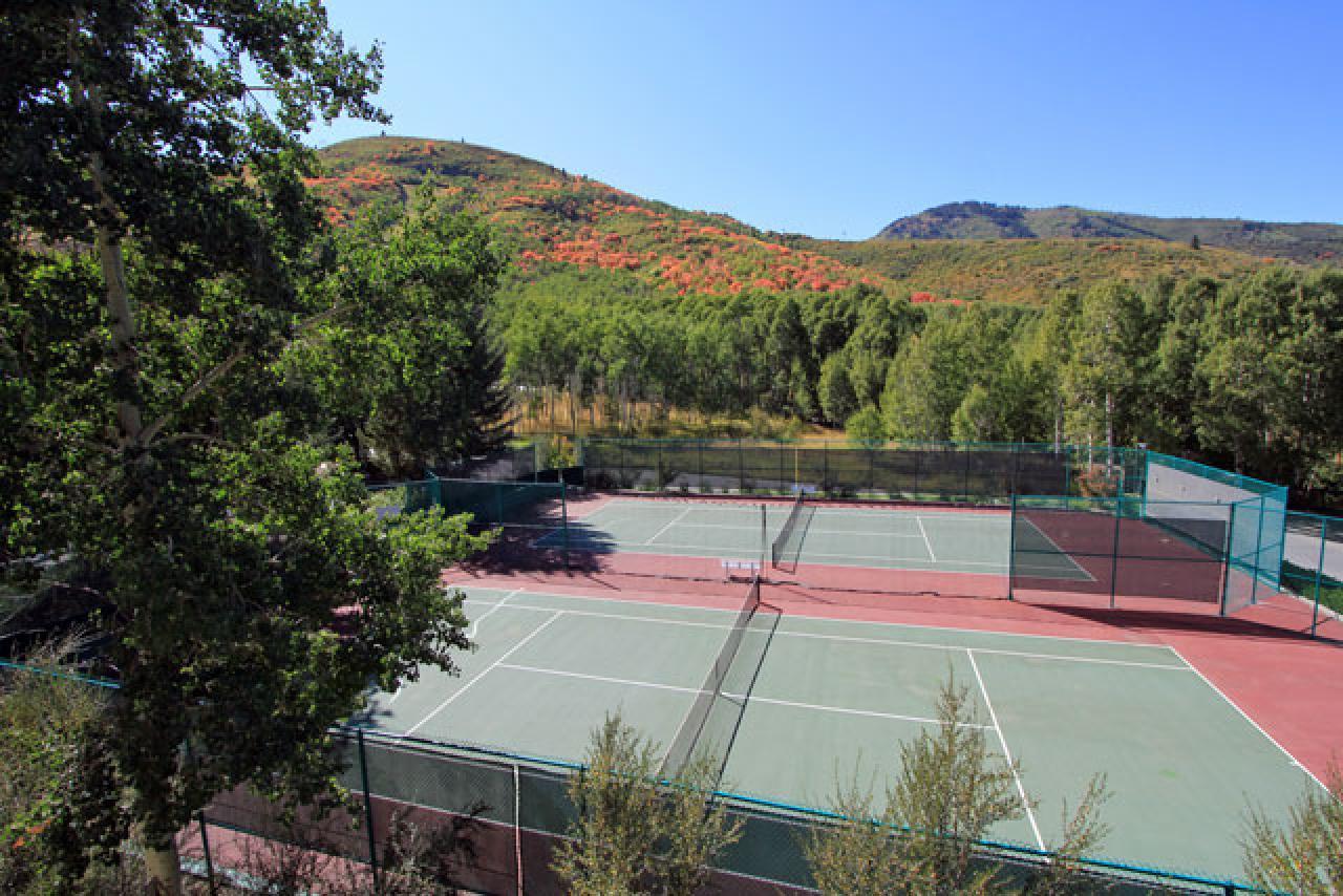 Snow Flower #069 - thumb 6