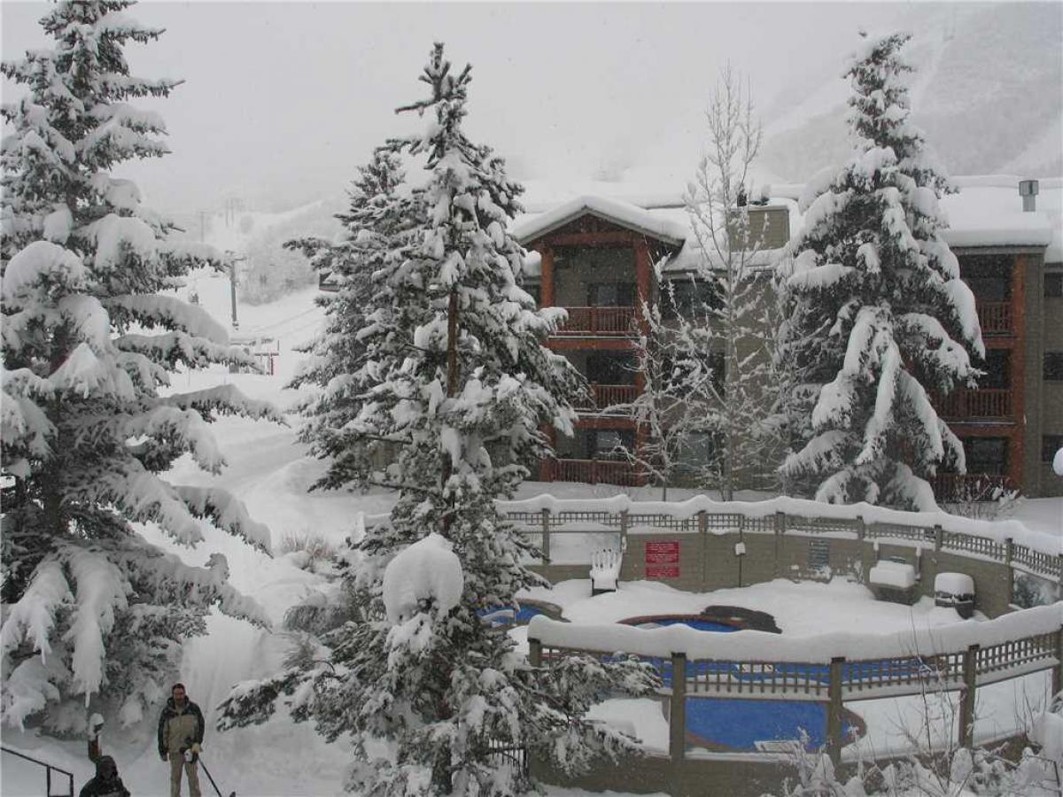 Snow Flower #069 - thumb 9