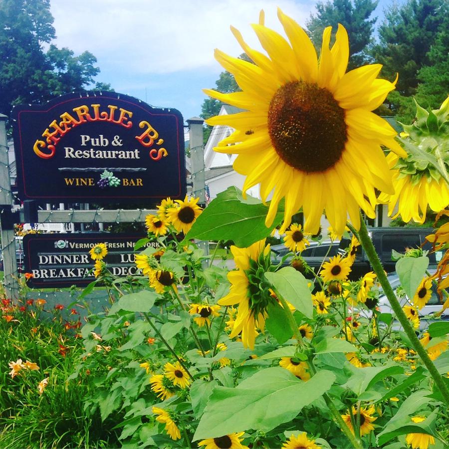 Stoweflake Resort Homes And Spa - thumb 42