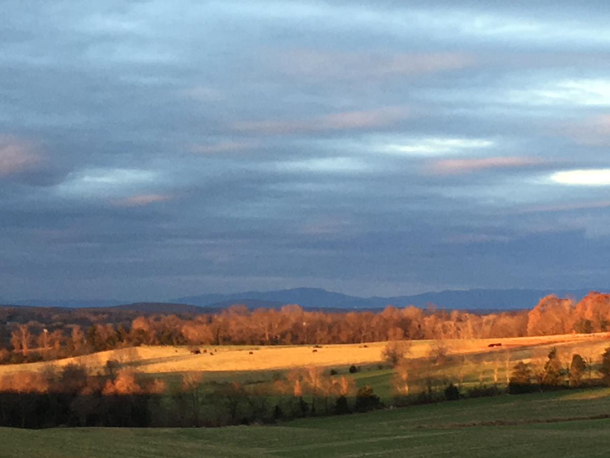 Round Hill Inn - thumb 21