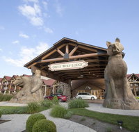 Great Wolf Lodge Williamsburg - Accommodation Alabama