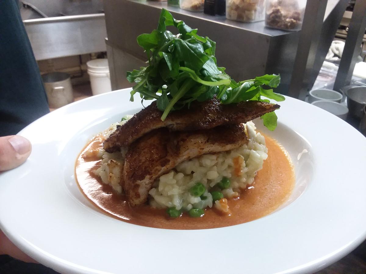 The Babcock House - thumb 40