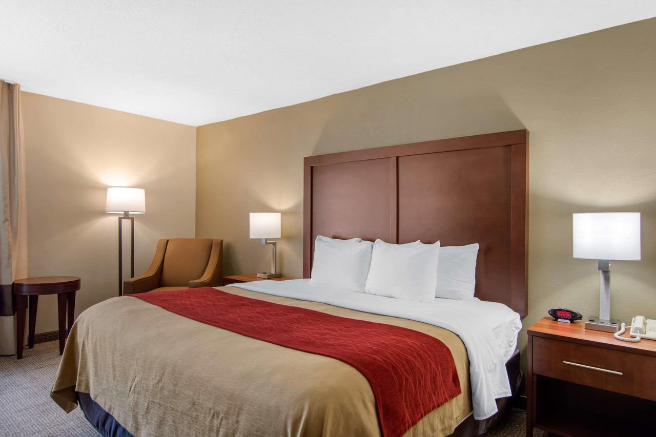 Comfort Inn Chester - Richmond South - thumb 31