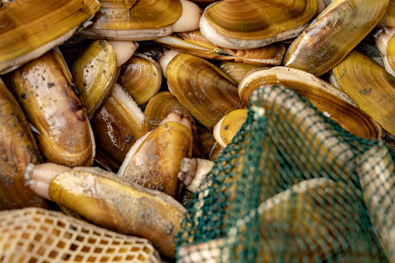 Chateau Westport - thumb 30