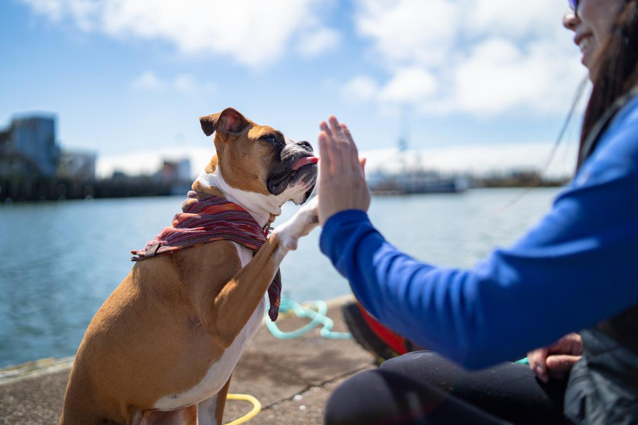 Chateau Westport - thumb 27