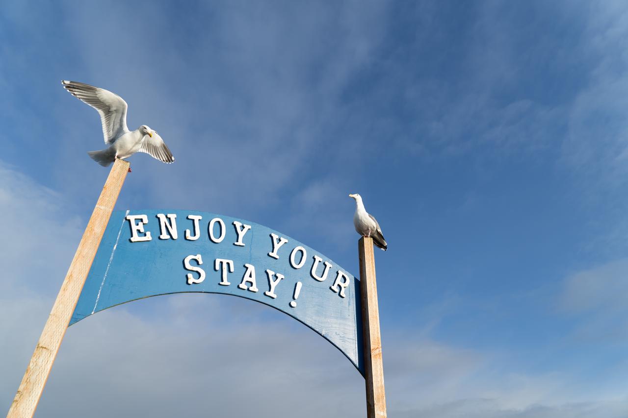 Chateau Westport - thumb 39