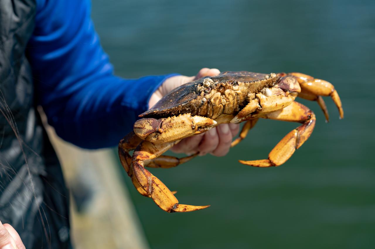 Chateau Westport - thumb 28