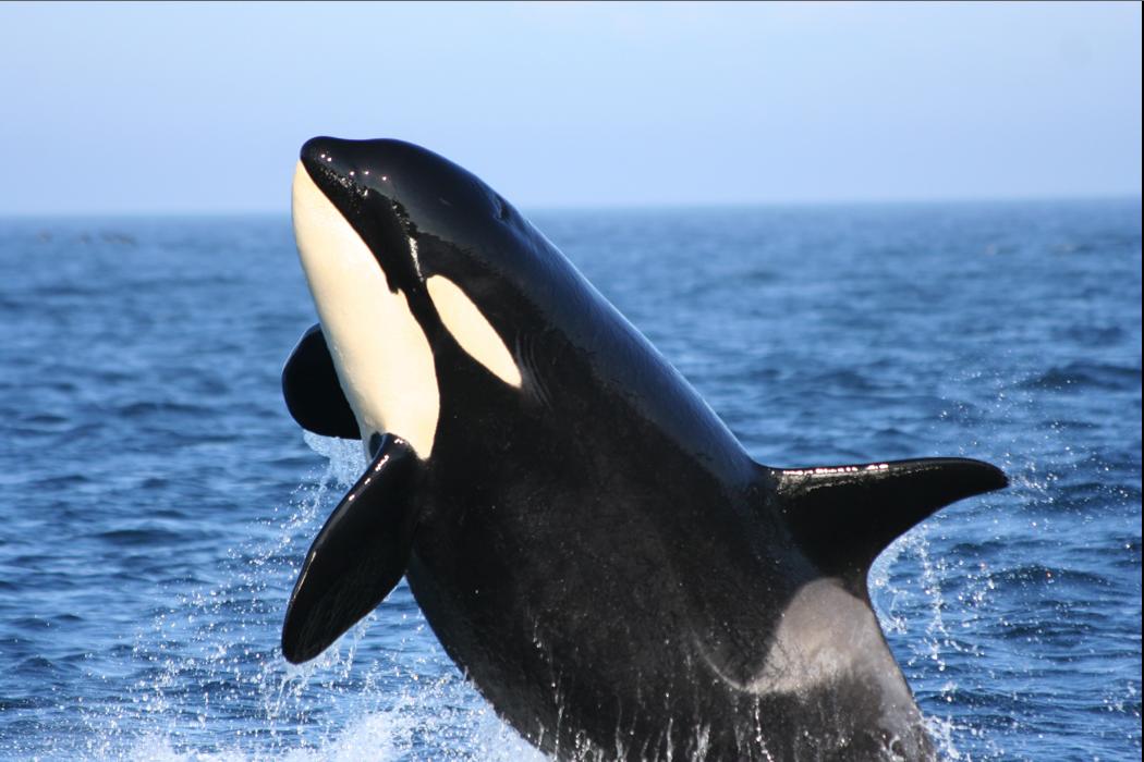 Swinomish Casino & Lodge - thumb 29